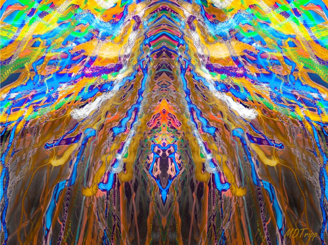 On the Edge of Chaos