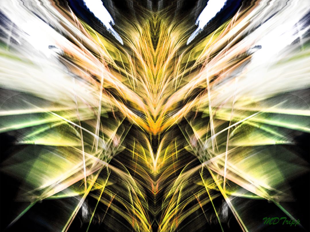 A Disagreeable Gremlin