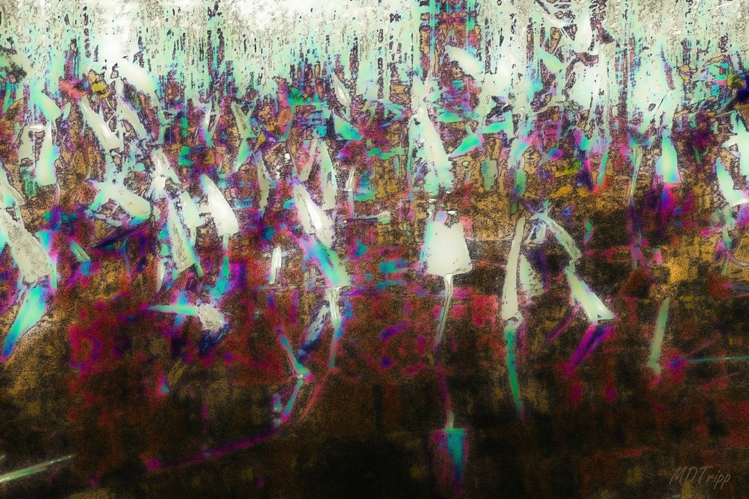 Fall on the Ponds Edge