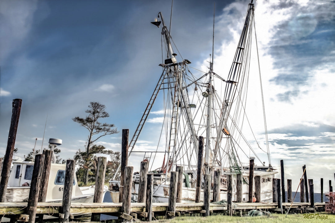 Fishing the N.C. Coast