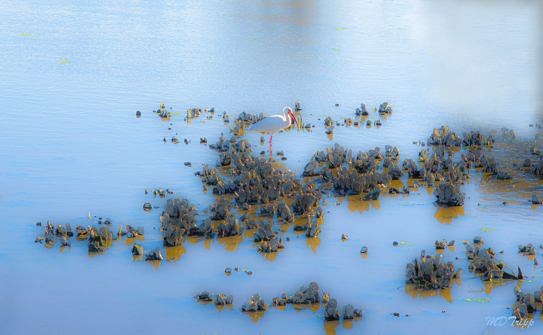 What Are You Looking At