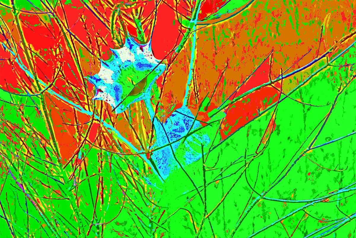 HD Archival Chromaluxe Aluminum Prints (Dye-sublimated metal prints)