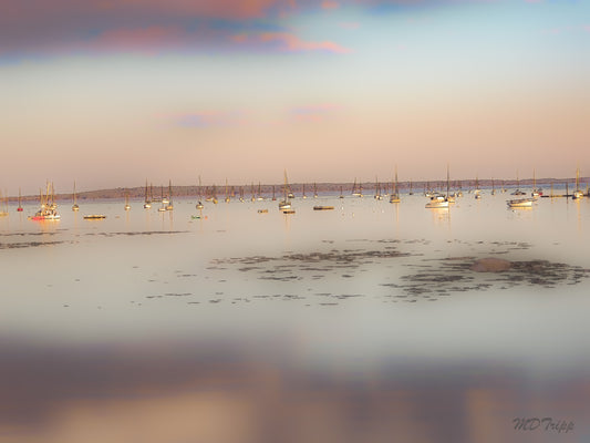 A peaceful painting of calm waters in Maine, featuring serene coastal views with gentle ripples and soft, cool colors.