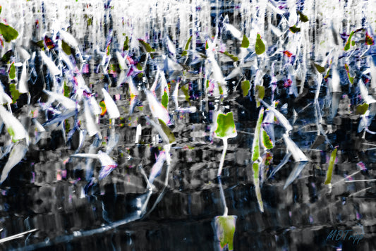 A serene painting of a calm moment by a pond’s edge, featuring gentle reflections and a tranquil natural setting.