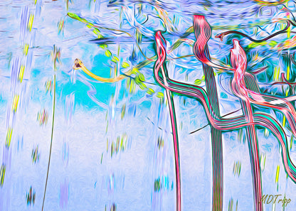 HD Archival Chromaluxe Aluminum Prints (Dye-sublimated metal prints)