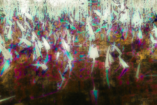 A serene painting titled 'Fall on the Pond’s Edge,' featuring vibrant autumn foliage reflecting on calm waters in a peaceful natural setting.