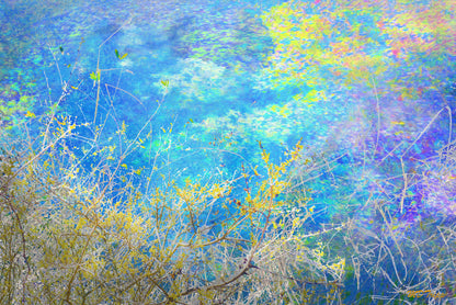 Finding Life