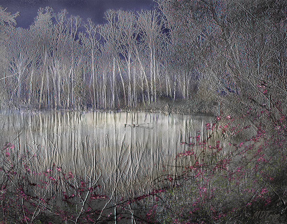 HD Archival Chromaluxe Aluminum Prints (Dye-sublimated metal prints)