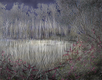 HD Archival Chromaluxe Aluminum Prints (Dye-sublimated metal prints)