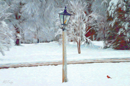Guiding Light