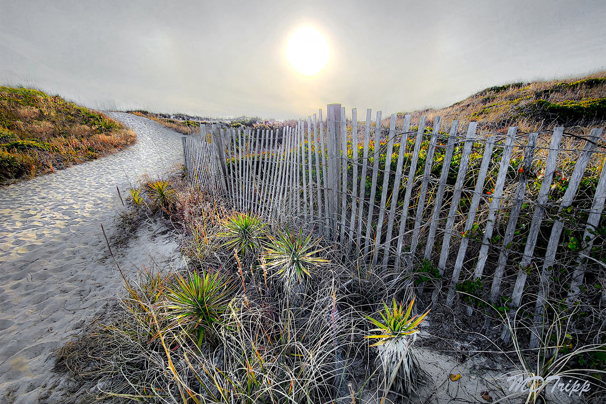 HD Archival Chromaluxe Aluminum Prints (Dye-sublimated metal prints)