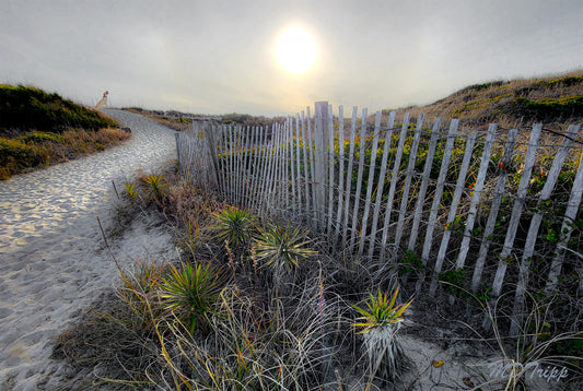 A scenic painting titled 'Hidden Coves of Maine,' showcasing a tranquil coastal cove with rugged cliffs, serene waters, and lush greenery