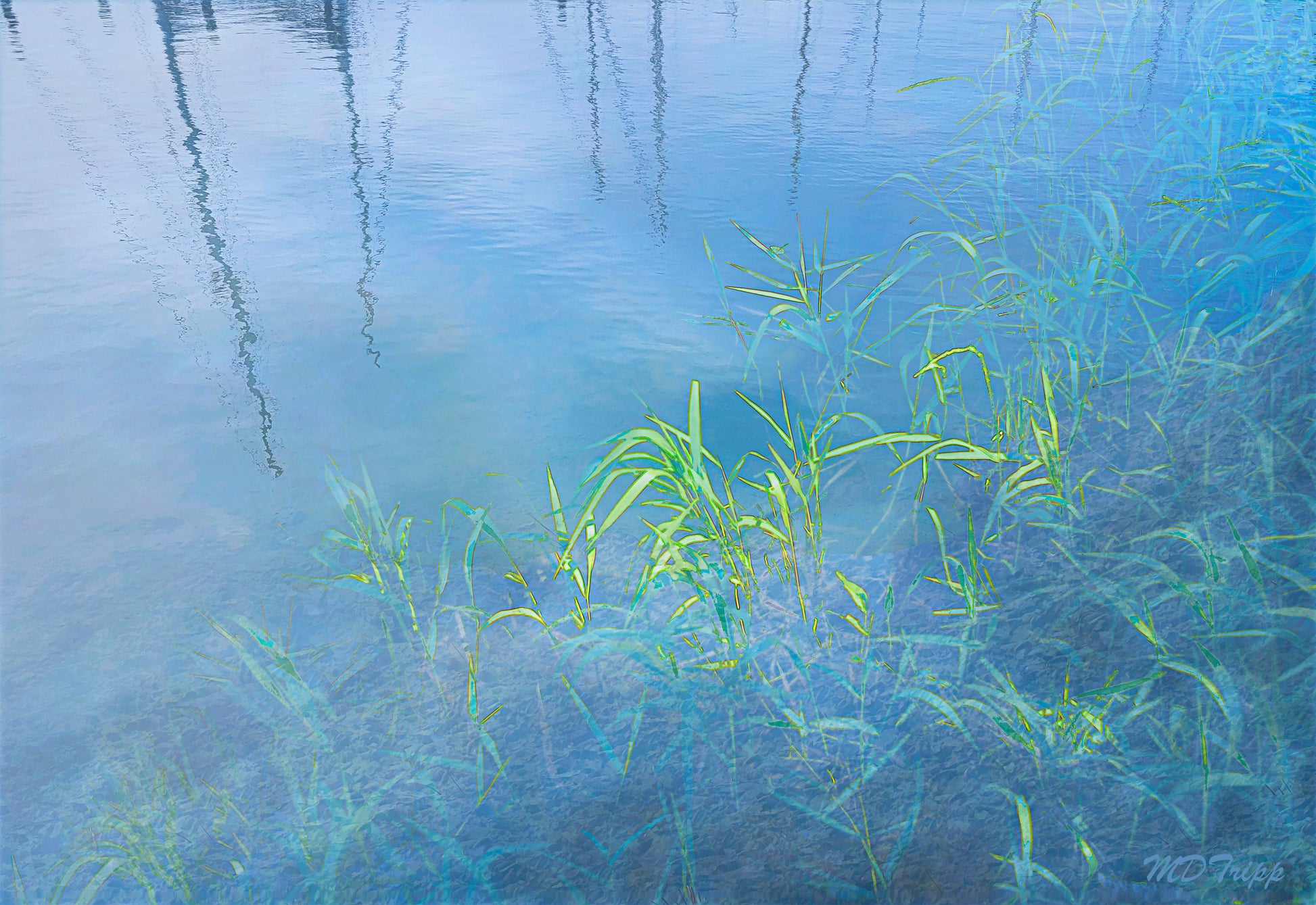 A serene painting titled 'Morning Light of Reflection,' featuring soft sunlight illuminating a peaceful landscape, symbolizing calm and introspection.