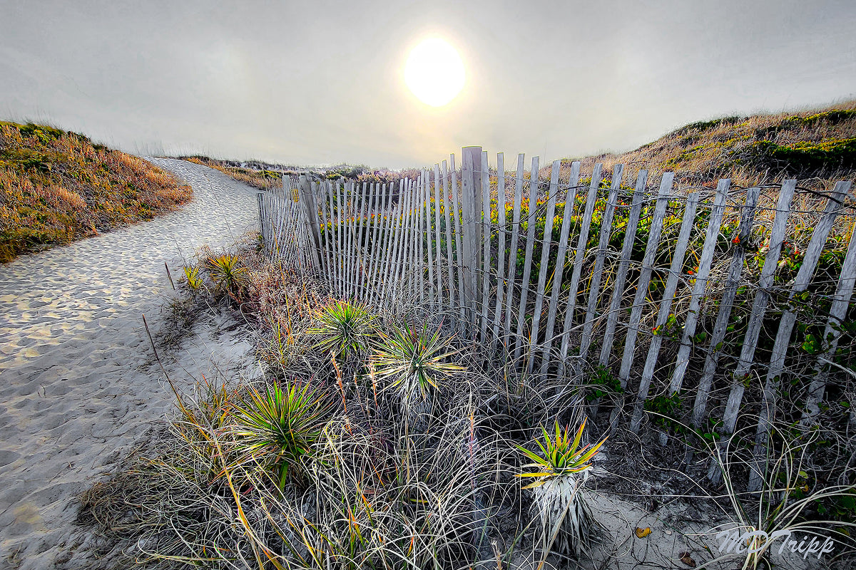 HD Archival Chromaluxe Aluminum Prints (Dye-sublimated metal prints)