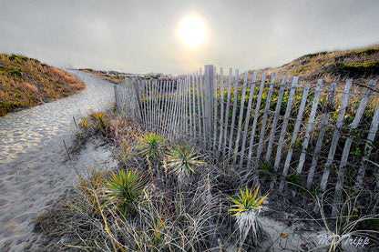 HD Archival Chromaluxe Aluminum Prints (Dye-sublimated metal prints)
