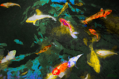 HD Archival Chromaluxe Aluminum Prints (Dye-sublimated metal prints)