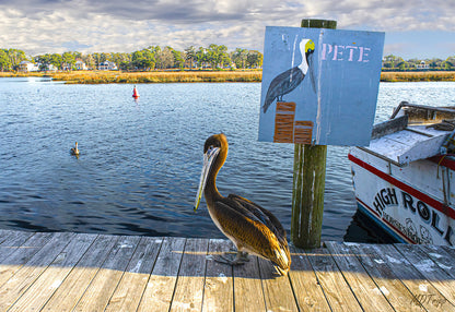HD Archival Chromaluxe Aluminum Prints (Dye-sublimated metal prints)