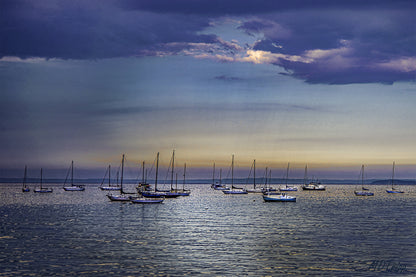 HD Archival Chromaluxe Aluminum Prints (Dye-sublimated metal prints)